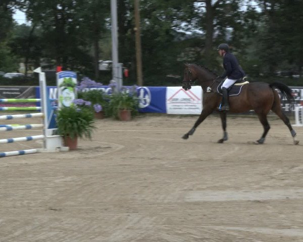 Reitturnier Waltrop 2019