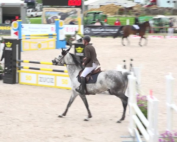 Reitturnier Zuoz 2019