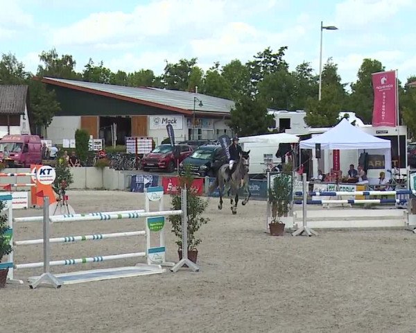 Reitturnier Grafenrheinfeld 2019