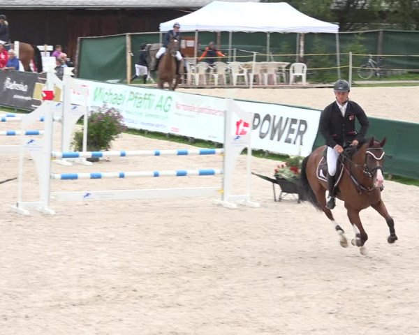 Reitturnier Zuoz 2019