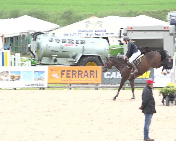 Reitturnier Zuoz 2019