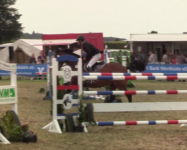 Reitturnier Behrendorf 2019