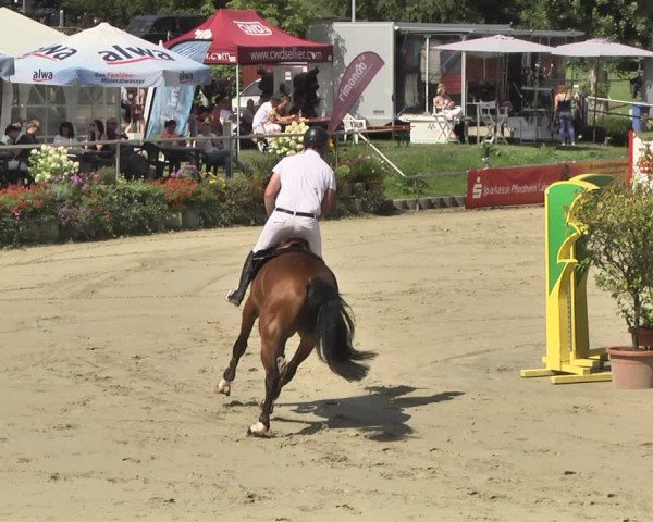 Reitturnier Oberderdingen 2019