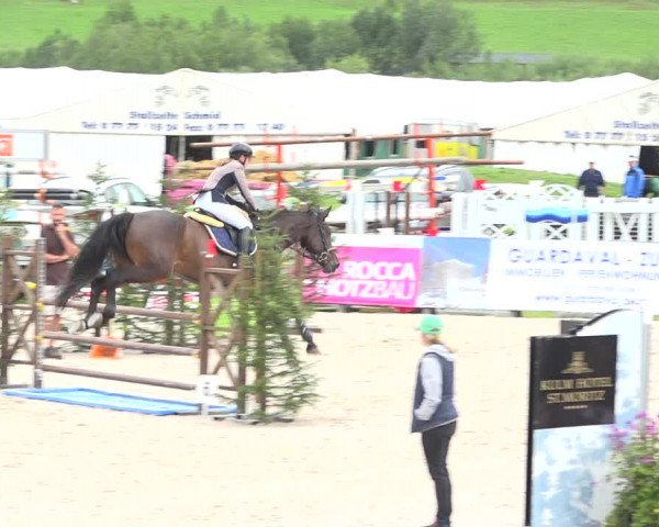 Reitturnier Zuoz 2019