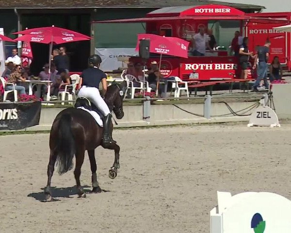 Reitturnier Grafenrheinfeld 2019