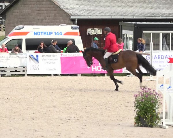 Reitturnier Zuoz 2019
