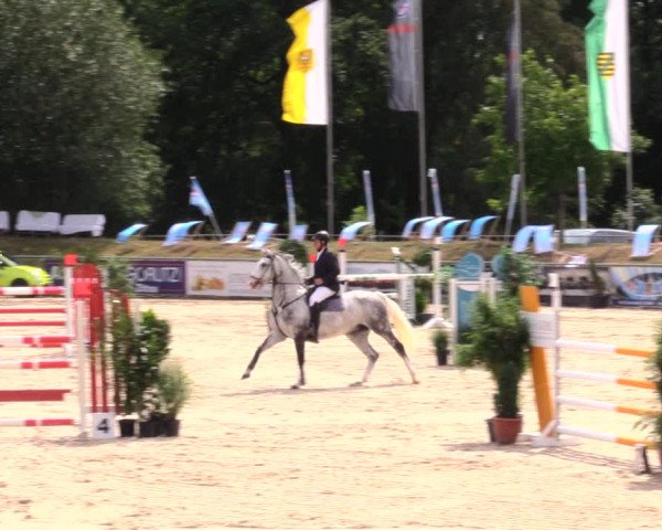 Reitturnier Görlitz 2019