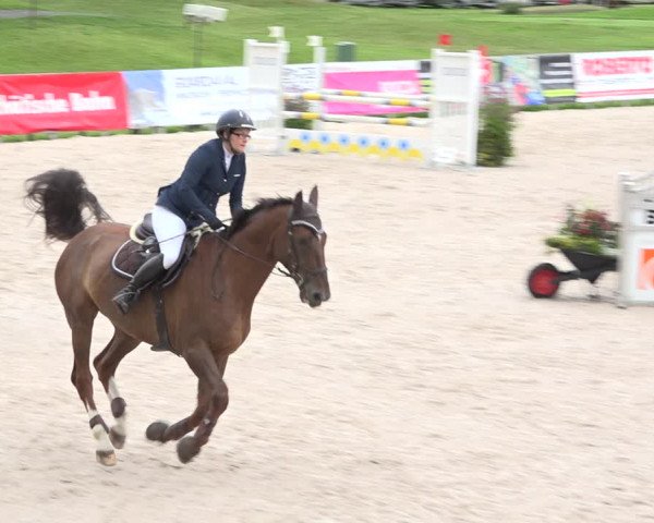 Reitturnier Zuoz 2019