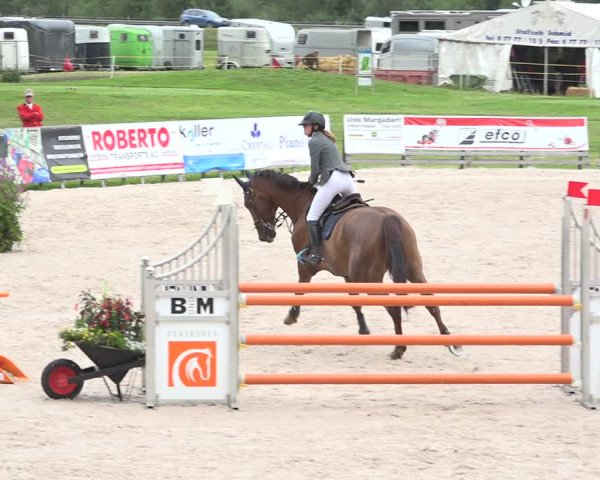Reitturnier Zuoz 2019