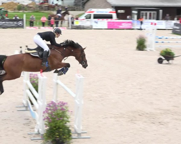 Reitturnier Zuoz 2019