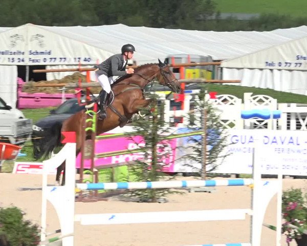Reitturnier Zuoz 2019