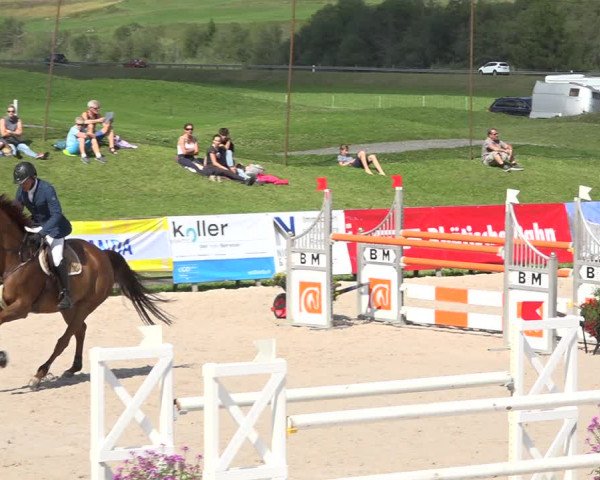 Reitturnier Zuoz 2019