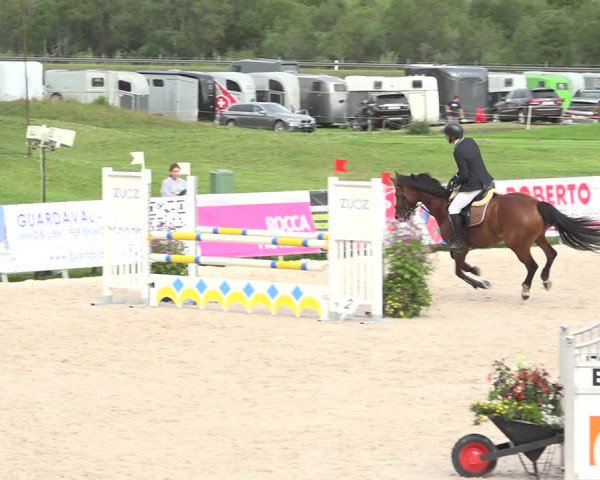 Reitturnier Zuoz 2019