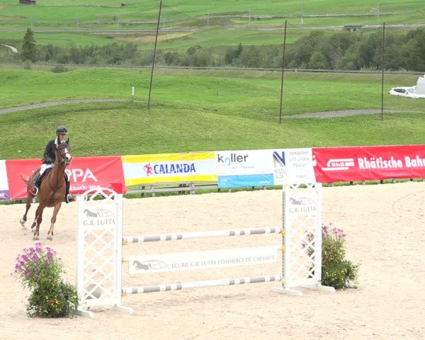 Reitturnier Zuoz 2019