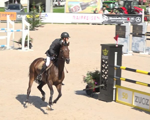 Reitturnier Zuoz 2019