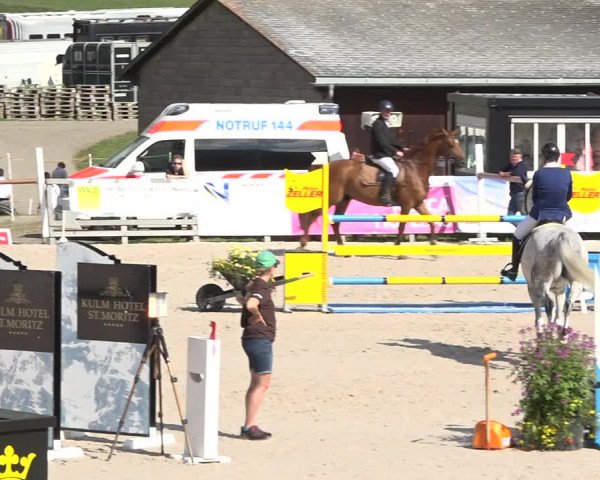 Reitturnier Zuoz 2019