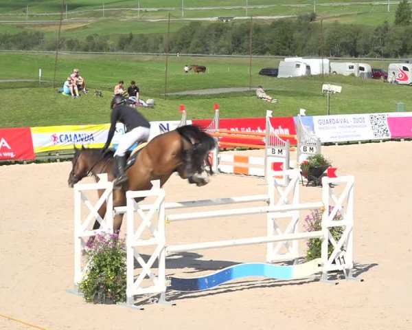 Reitturnier Zuoz 2019