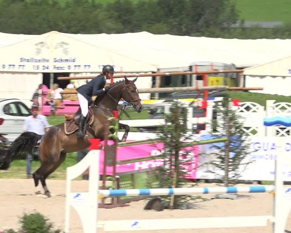 Reitturnier Zuoz 2019