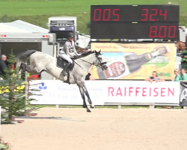 Reitturnier Zuoz 2019