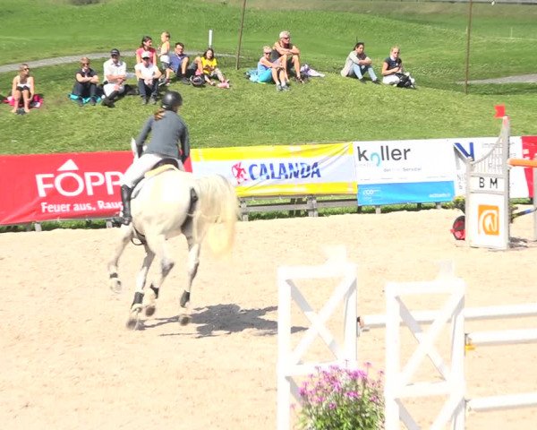 Reitturnier Zuoz 2019