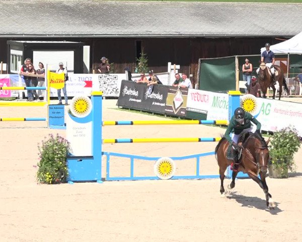 Reitturnier Zuoz 2019