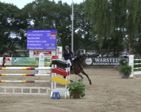Reitturnier Waltrop 2019