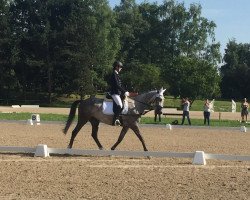 dressage horse Espri (Trakehner, 2011, from Elfado)