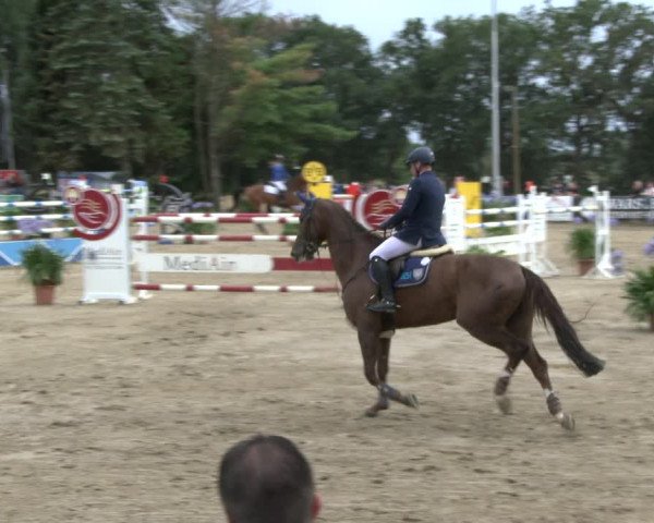 Reitturnier Waltrop 2019