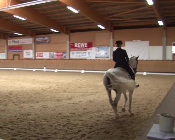 Reitturnier Grafenrheinfeld 2019