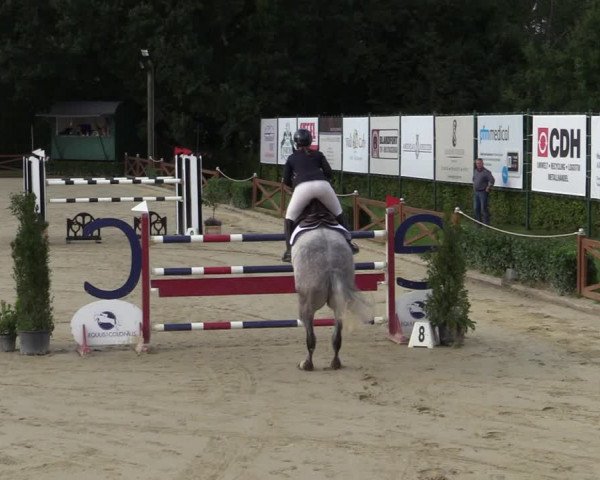 Equus Colonius - Reitanlage Brüse Köln 2021