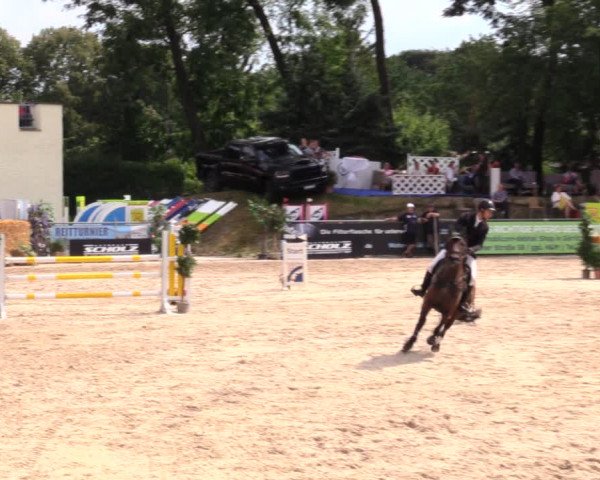 Reitturnier Görlitz 2019