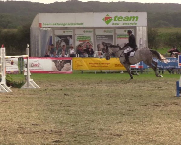 Reitturnier Behrendorf 2019