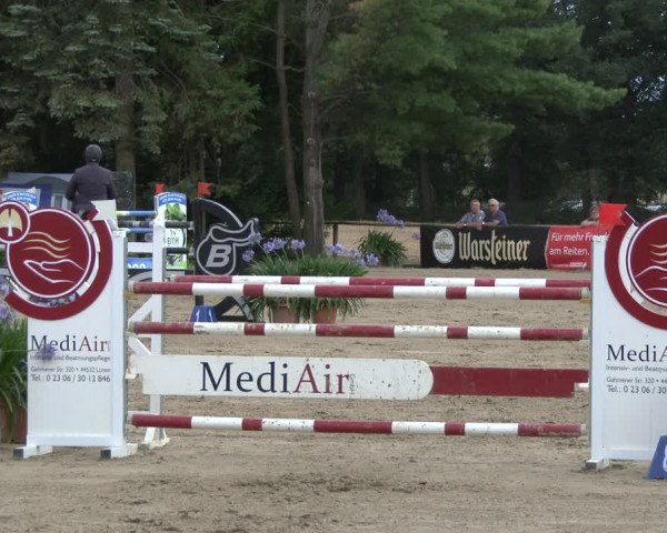 Reitturnier Waltrop 2019