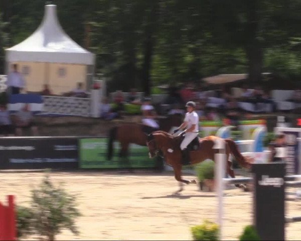 Reitturnier Görlitz 2019