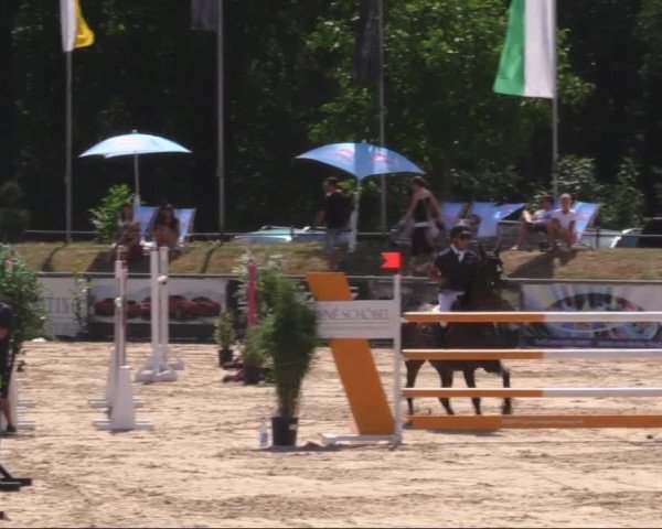 Reitturnier Görlitz 2019