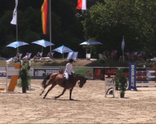 Reitturnier Görlitz 2019