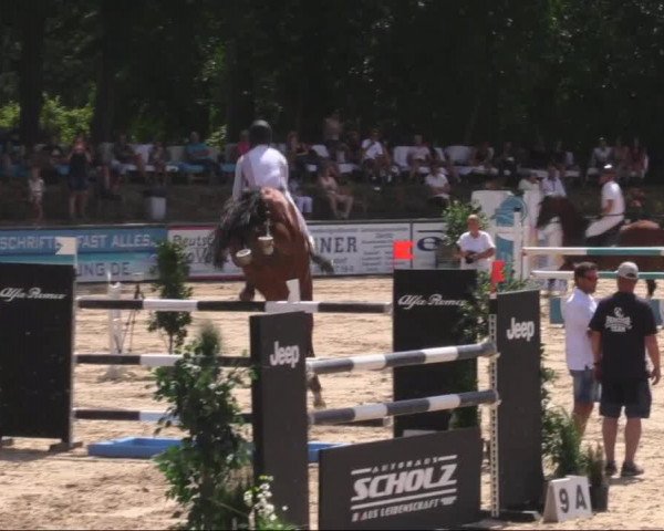Reitturnier Görlitz 2019
