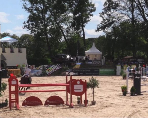 Reitturnier Görlitz 2019