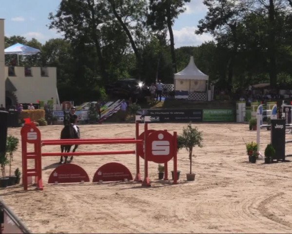 Reitturnier Görlitz 2019
