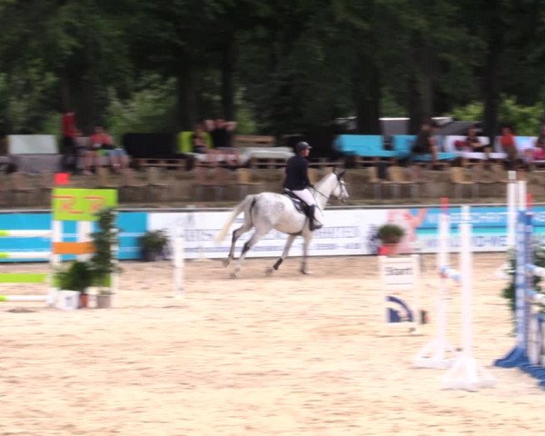 Reitturnier Görlitz 2019