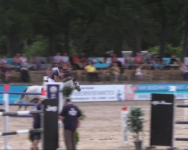 Reitturnier Görlitz 2019