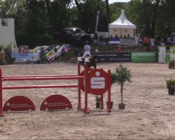 Reitturnier Görlitz 2019