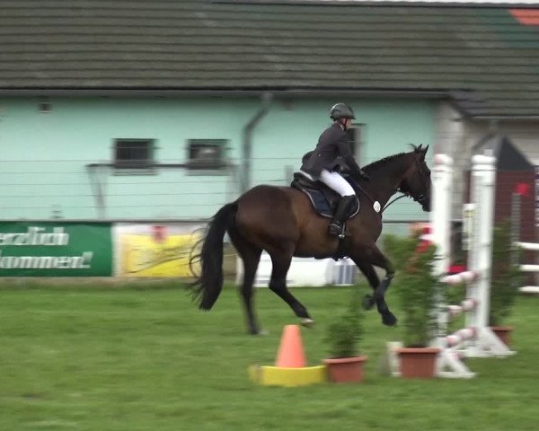 Reitturnier Gardelegen 2019