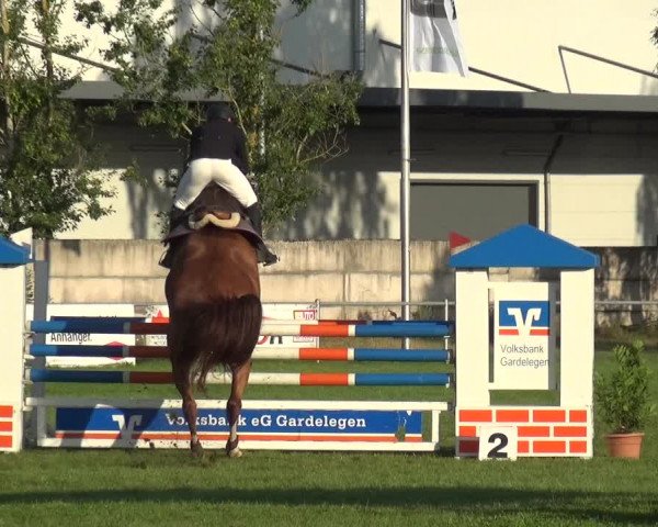 Reitturnier Gardelegen 2019