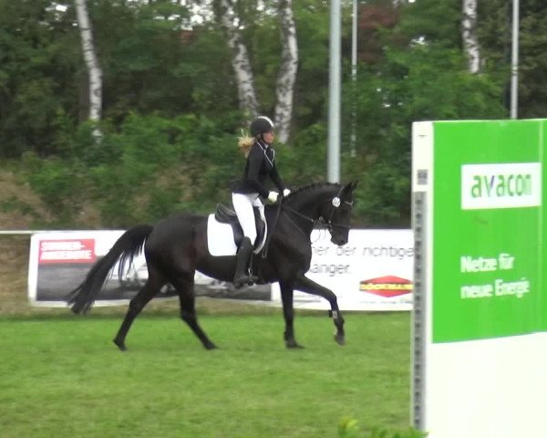 Reitturnier Gardelegen 2019