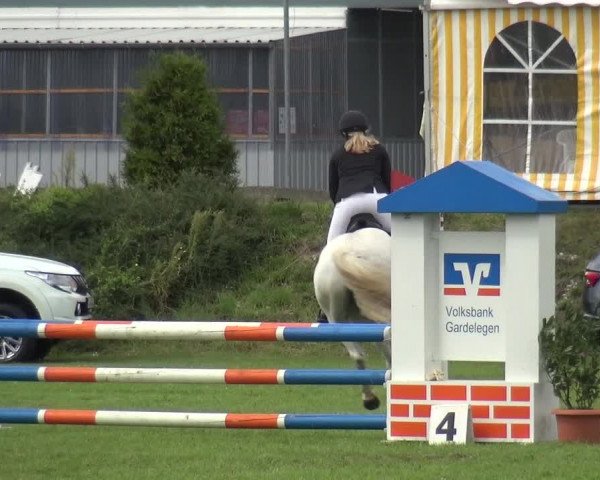 Reitturnier Gardelegen 2019