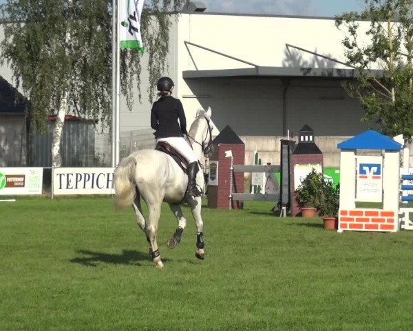 Reitturnier Gardelegen 2019