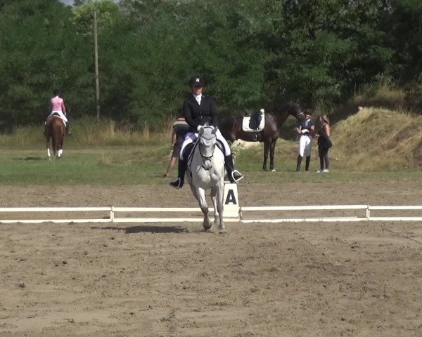 Reitturnier Gardelegen 2019