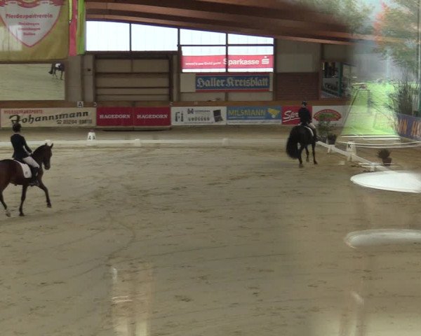 Steinhagen Classics 2021