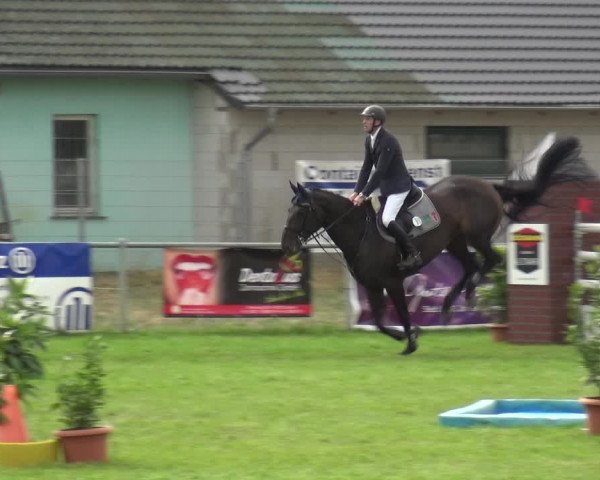 Reitturnier Gardelegen 2019